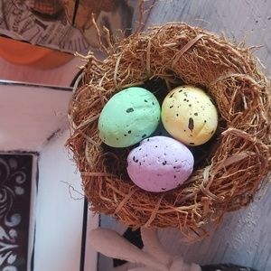 Bird nest eggs not included